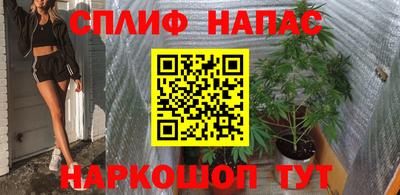 гашик Ставрополь