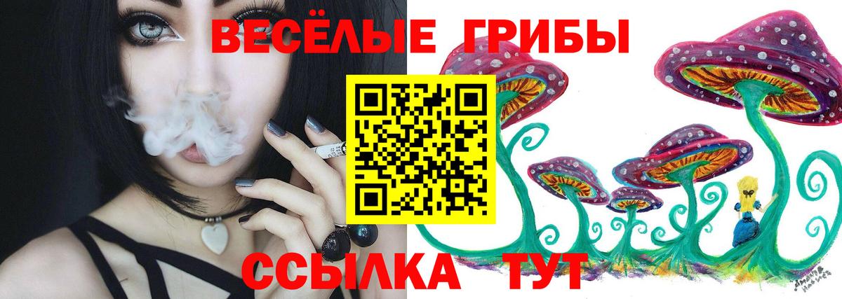 Печора  Псилоцибиновые грибы Psilocybe  Вход с VPN 